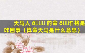 天马人 🐛 的命 🐶 格是咋回事（算命天马是什么意思）